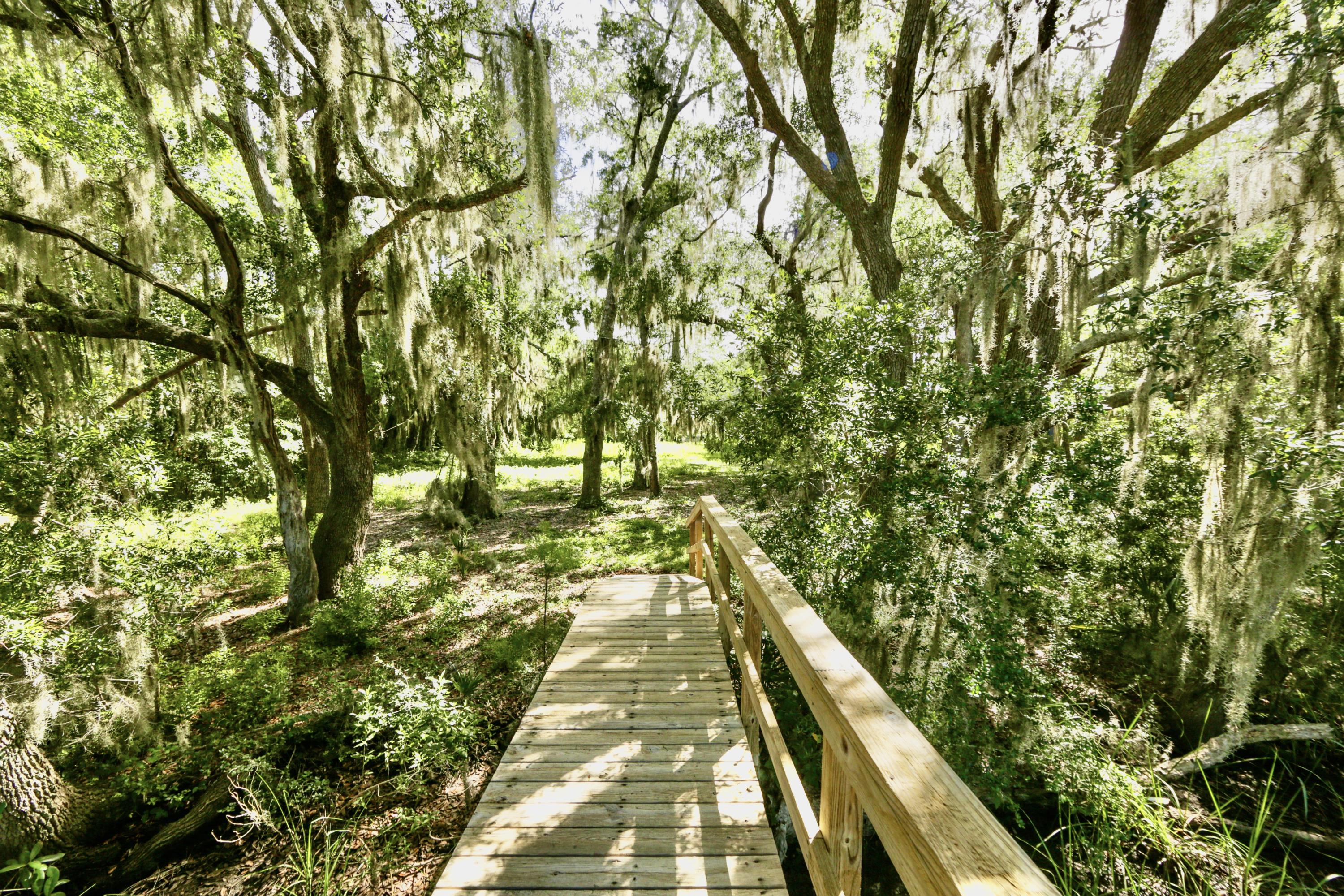3710 Chisolm Road Johns Island, SC 29455 - Photo 5 of 30 View of Lot from Dock
