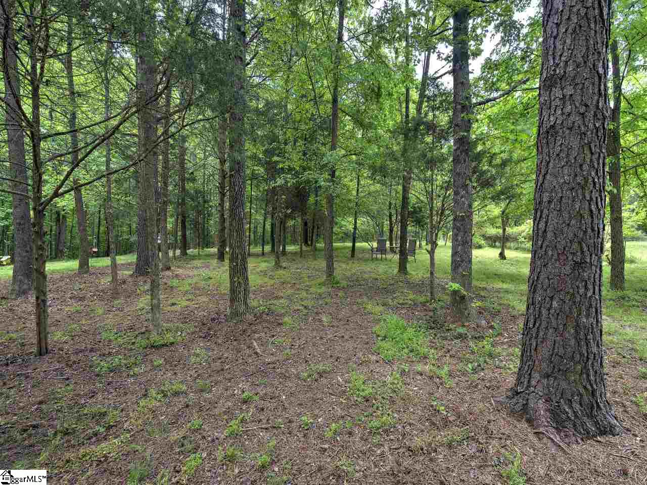 200 Irene Road Gray Court, SC 29645 - Photo 18 of 25 Gallery Image 18