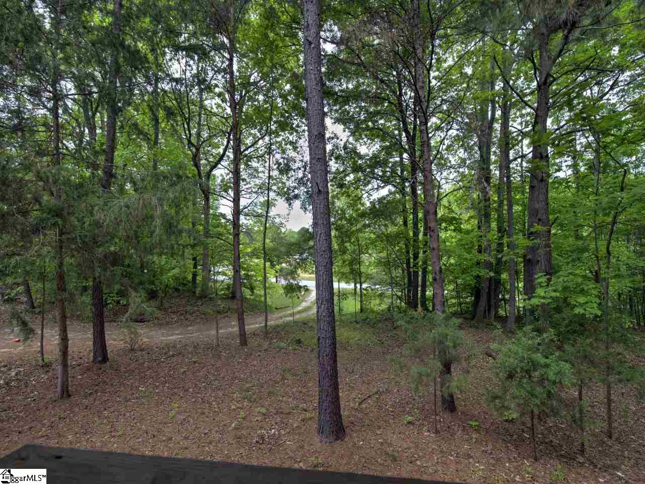200 Irene Road Gray Court, SC 29645 - Photo 22 of 25 Gallery Image 22