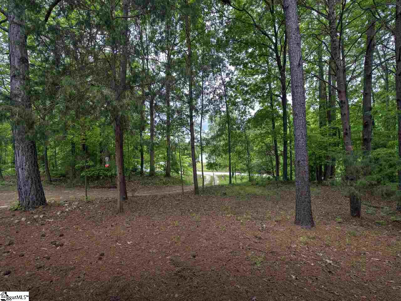 200 Irene Road Gray Court, SC 29645 - Photo 23 of 25 Gallery Image 23