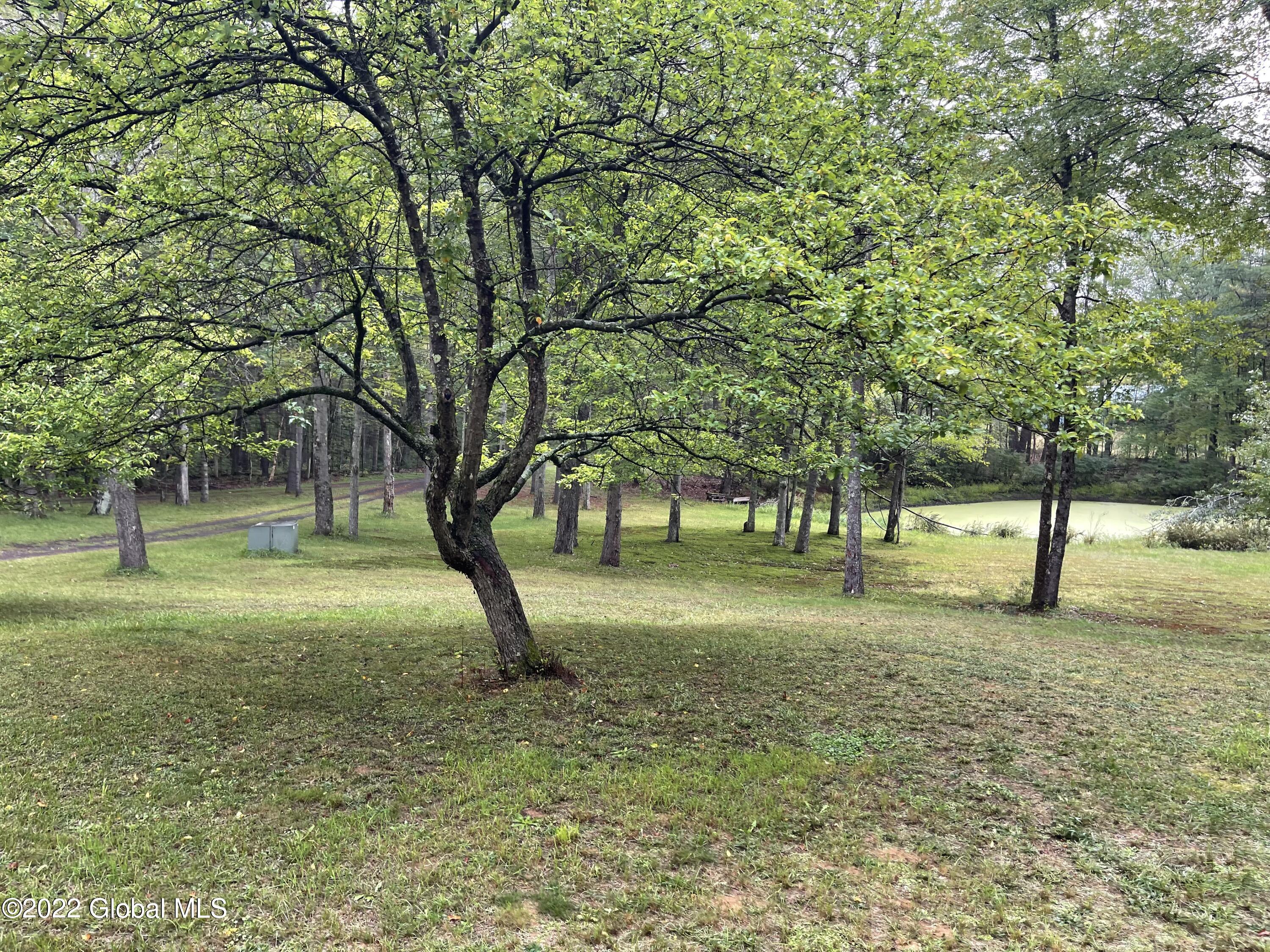 85 King Road Wilton, NY 12866 - Photo 11 of 22 IMG_0030