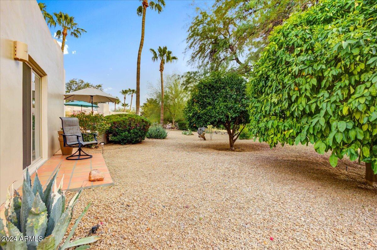 18501 East Avenida Del Ray Rio Verde, AZ 85263 - Photo 26 of 39 25-Side Yard