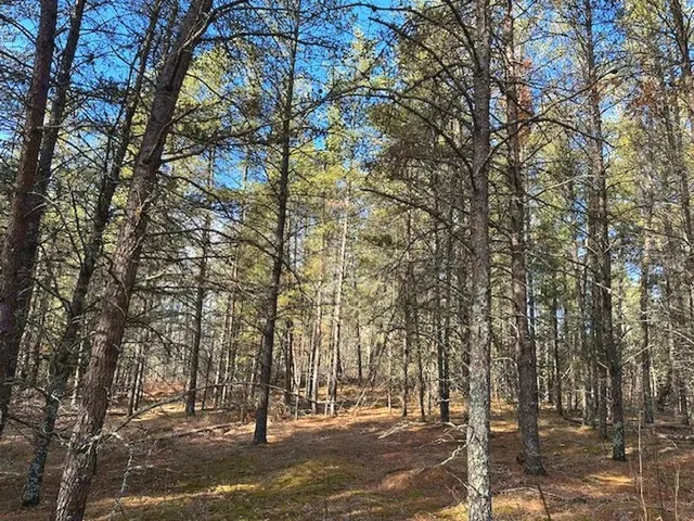 $65,000 | Tbd Wildwood Avenue, Nevis, MN 56467