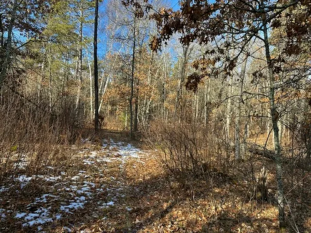 $65,000 | Tbd Wildwood Avenue, Nevis, MN 56467