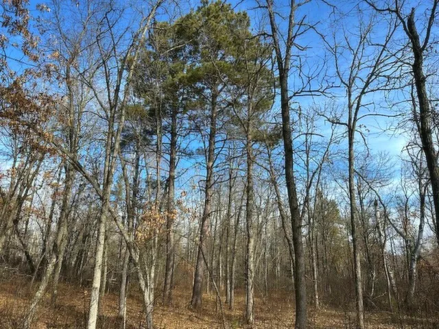 $65,000 | Tbd Wildwood Avenue, Nevis, MN 56467