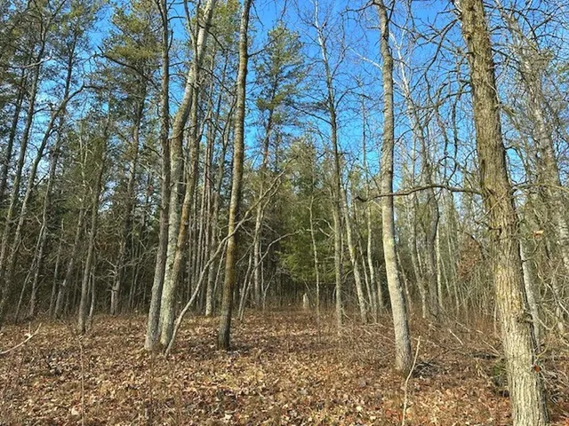 $65,000 | Tbd Wildwood Avenue, Nevis, MN 56467
