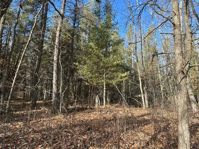 $65,000 | Tbd Wildwood Avenue, Nevis, MN 56467
