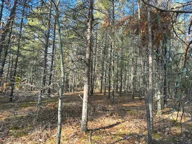 $65,000 | Tbd Wildwood Avenue, Nevis, MN 56467