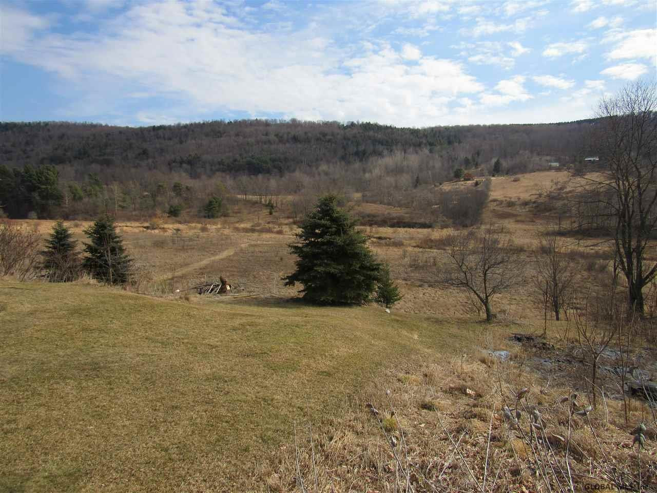 732 Charlotte Valley Road Summit, NY 12064 - Photo 4 of 25 Photo 4
