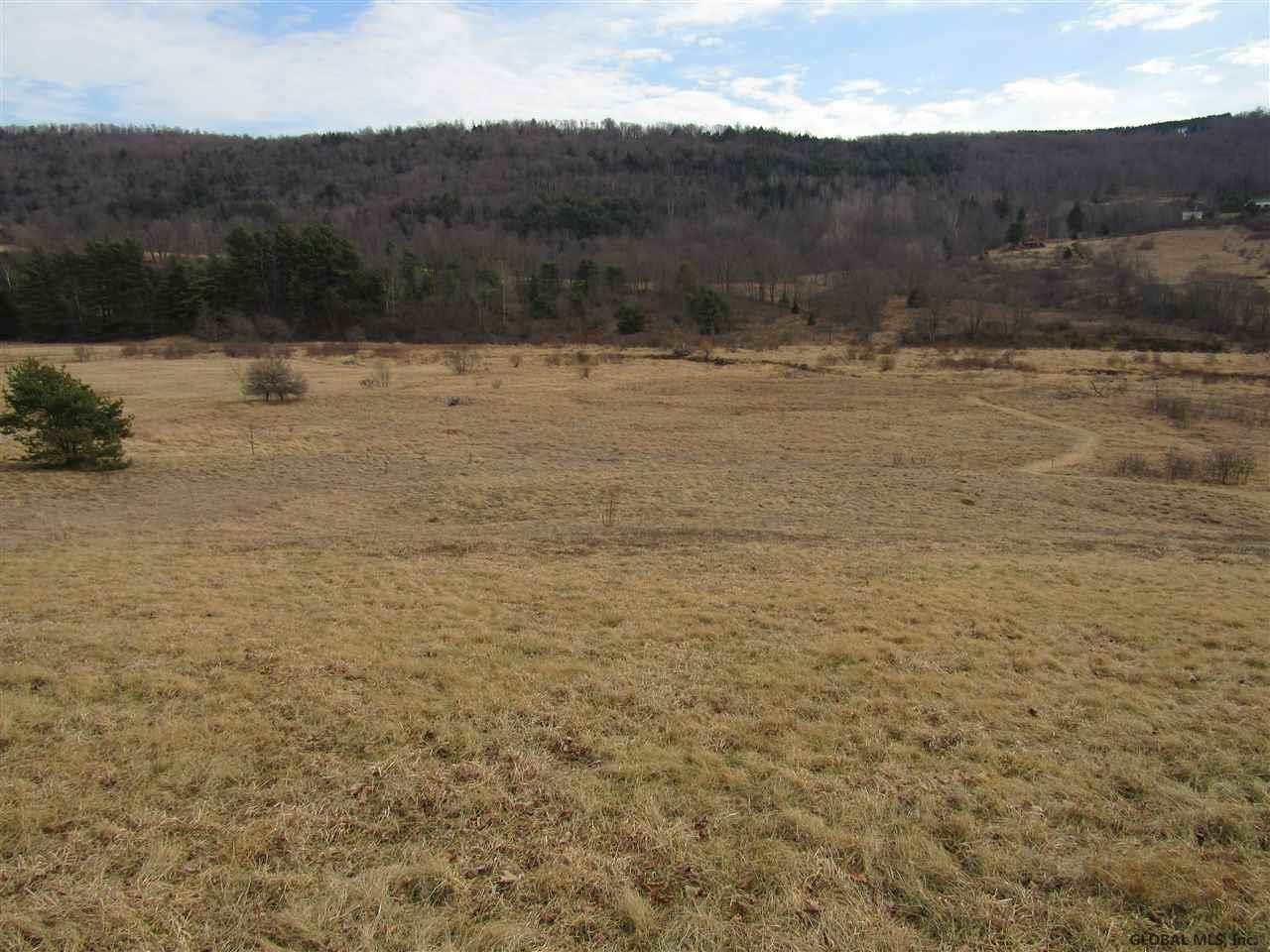 732 Charlotte Valley Road Summit, NY 12064 - Photo 6 of 25 Photo 6