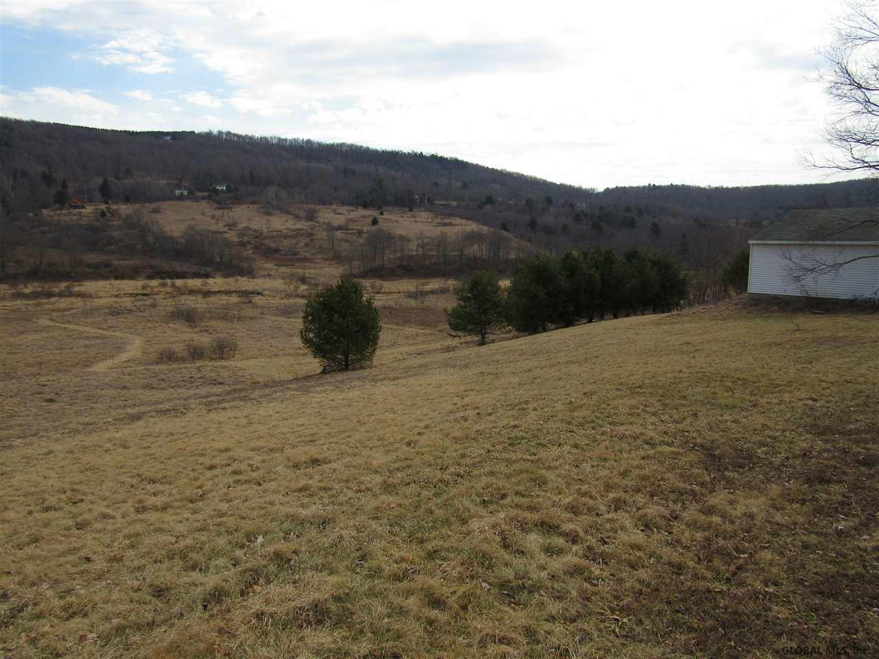 732 Charlotte Valley Road Summit, NY 12064 - Photo 7 of 25 Photo 7