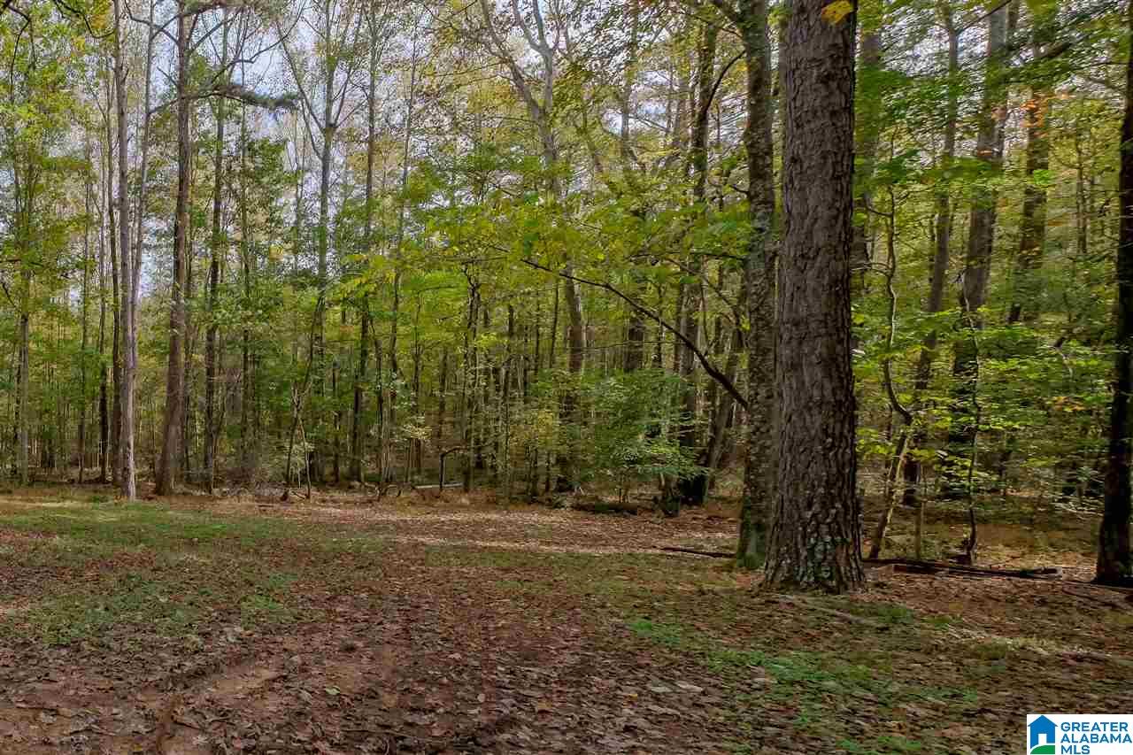 8479 Marsh Mountain Road Pinson, AL 35126 - Photo 32 of 35