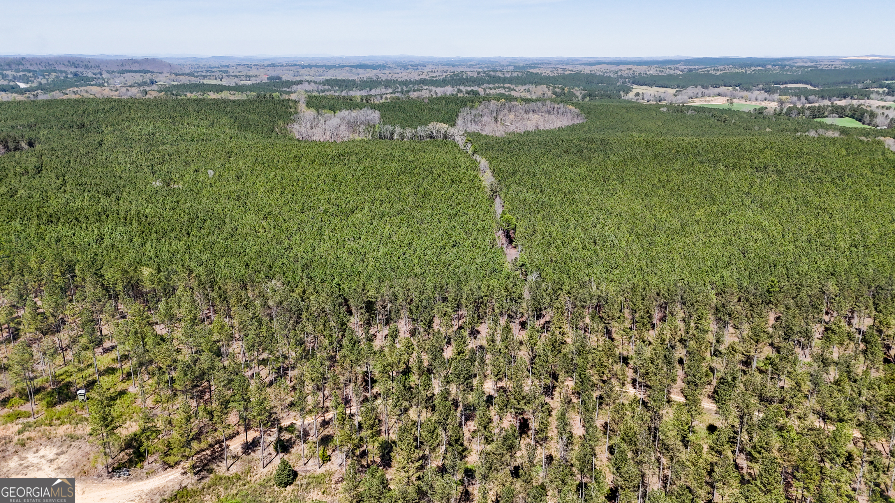403-acres Youngs Farm Road Cedartown, GA 30125 - Photo 6 of 14