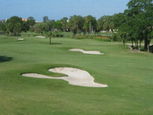 a view of a golf course