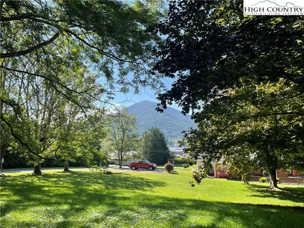 a view of a garden with large trees