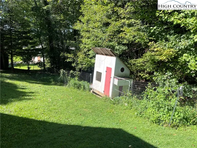 a view of a tree with a plant