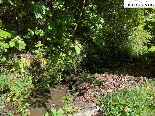 a house view with a garden