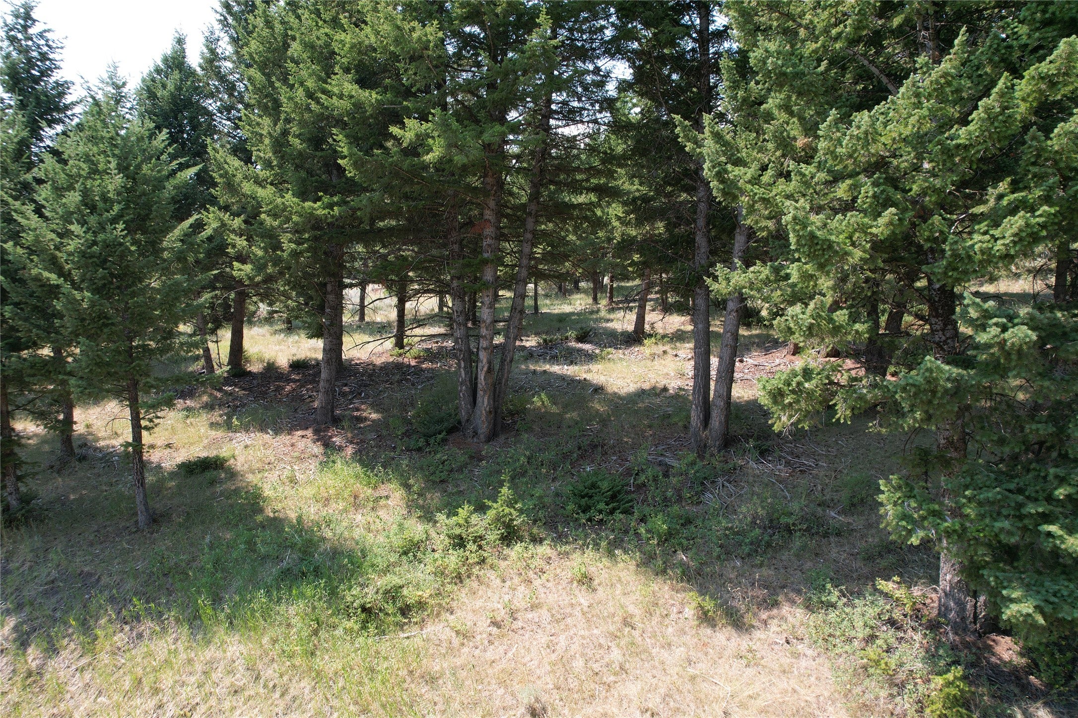 Lot 25 Sun West Ranch Cameron, MT 59720 - Photo 6 of 30 Gallery Image 6
