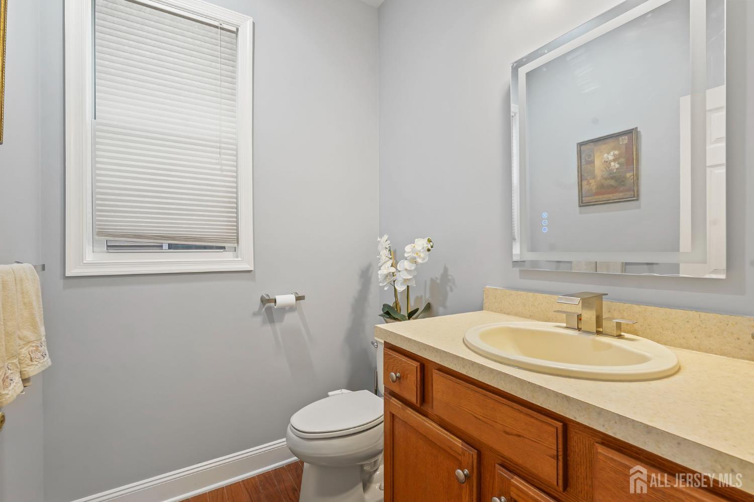 54 Harness Way Chesterfield, NJ 08515 - Photo 22 of 41 a bathroom with a sink toilet and a mirror