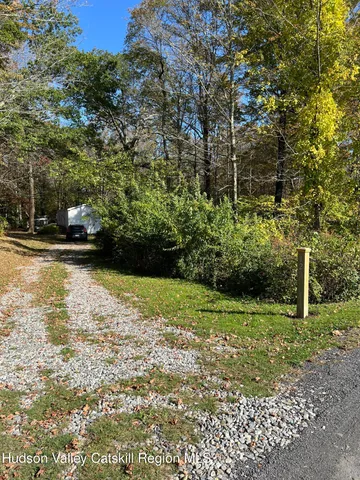 a view of a yard with plants and trees