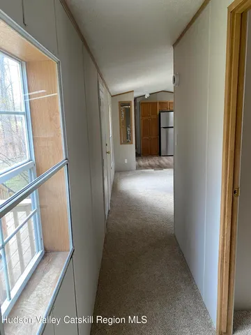 a view of a tree in the middle of a yard