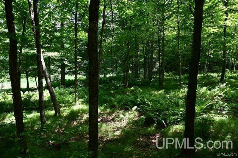 Lot#25 Fordville Road Foster City, MI 49834 - Photo 17 of 27