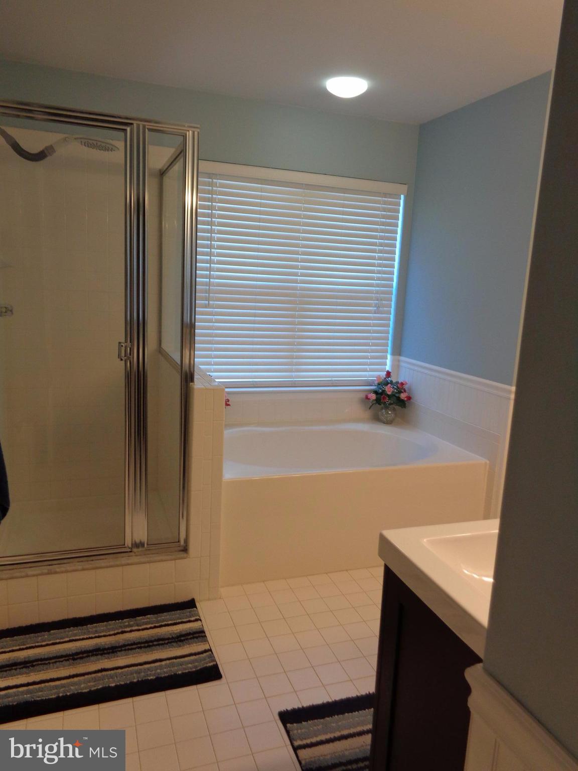 1319 Waterview Way Baltimore, MD 21221 - Photo 12 of 26 Soaking tub, separate shower, ceramic tile