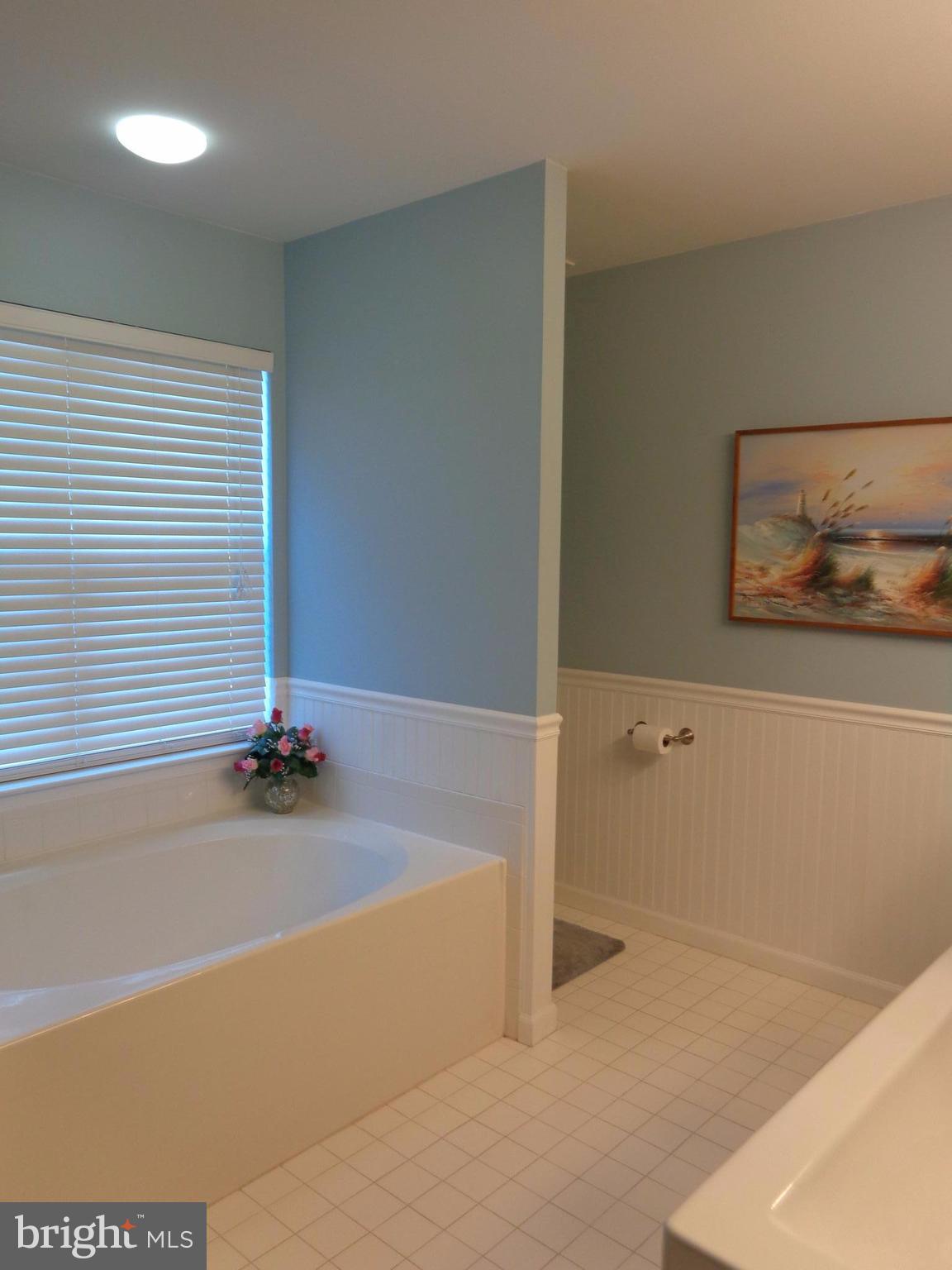 1319 Waterview Way Baltimore, MD 21221 - Photo 13 of 26 Soaking tub in master bath