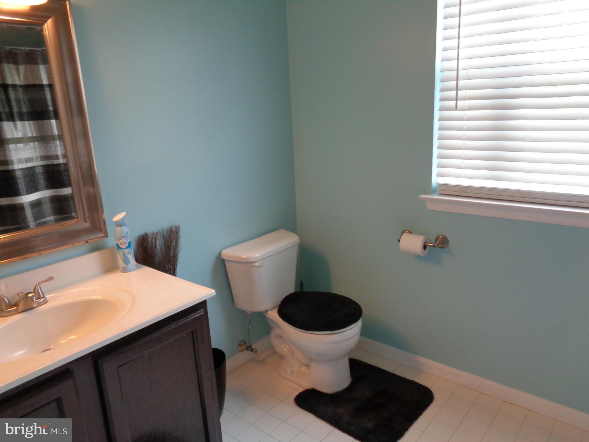 1319 Waterview Way Baltimore, MD 21221 - Photo 17 of 26 Upper level, main bath
