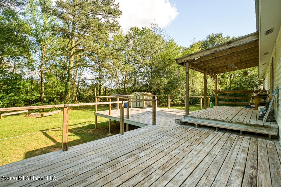285 Magnolia Drive Raleigh, MS 39153 - Photo 30 of 34 Back Porch View 2
