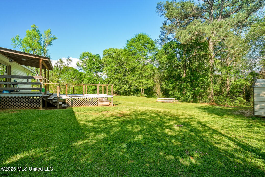 285 Magnolia Drive Raleigh, MS 39153 - Photo 31 of 34 Back Yard View 1