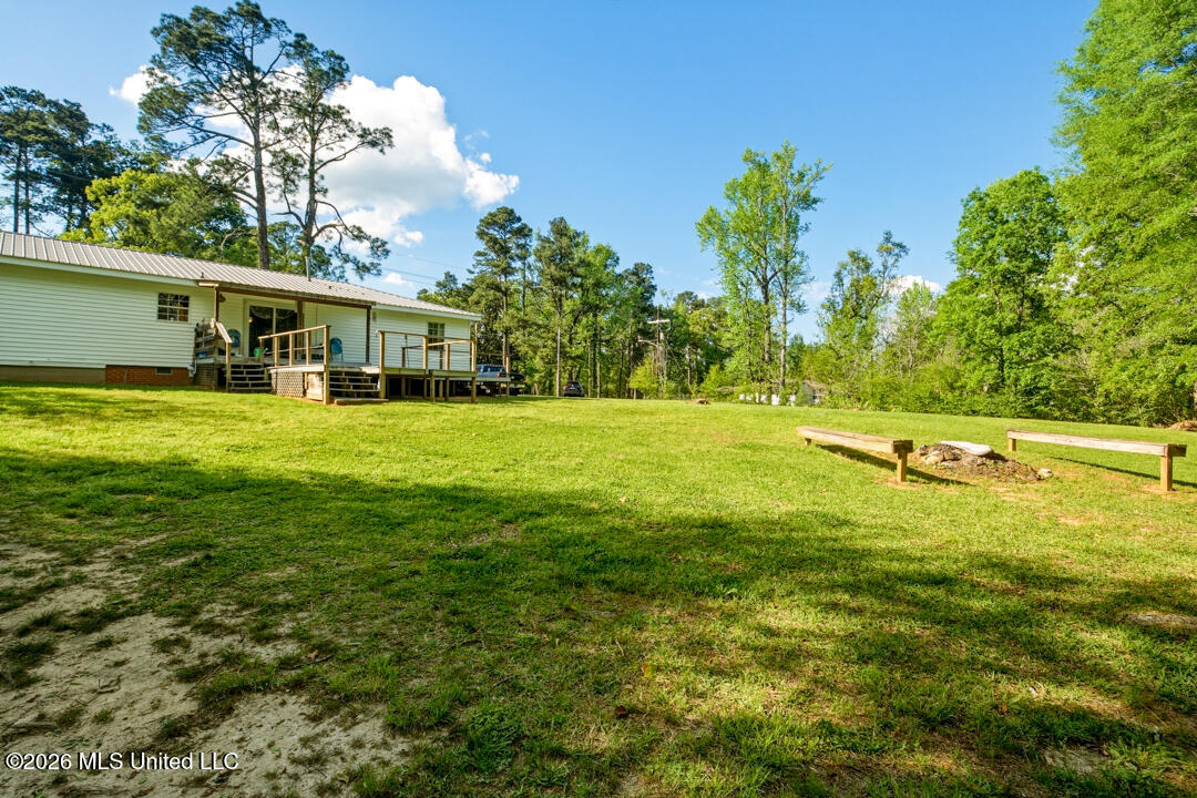 285 Magnolia Drive Raleigh, MS 39153 - Photo 33 of 34 Back Yard View 2