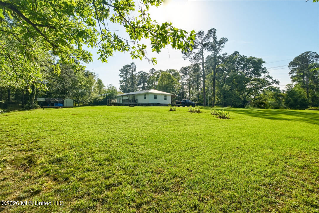285 Magnolia Drive Raleigh, MS 39153 - Photo 34 of 34 Back Yard View 3