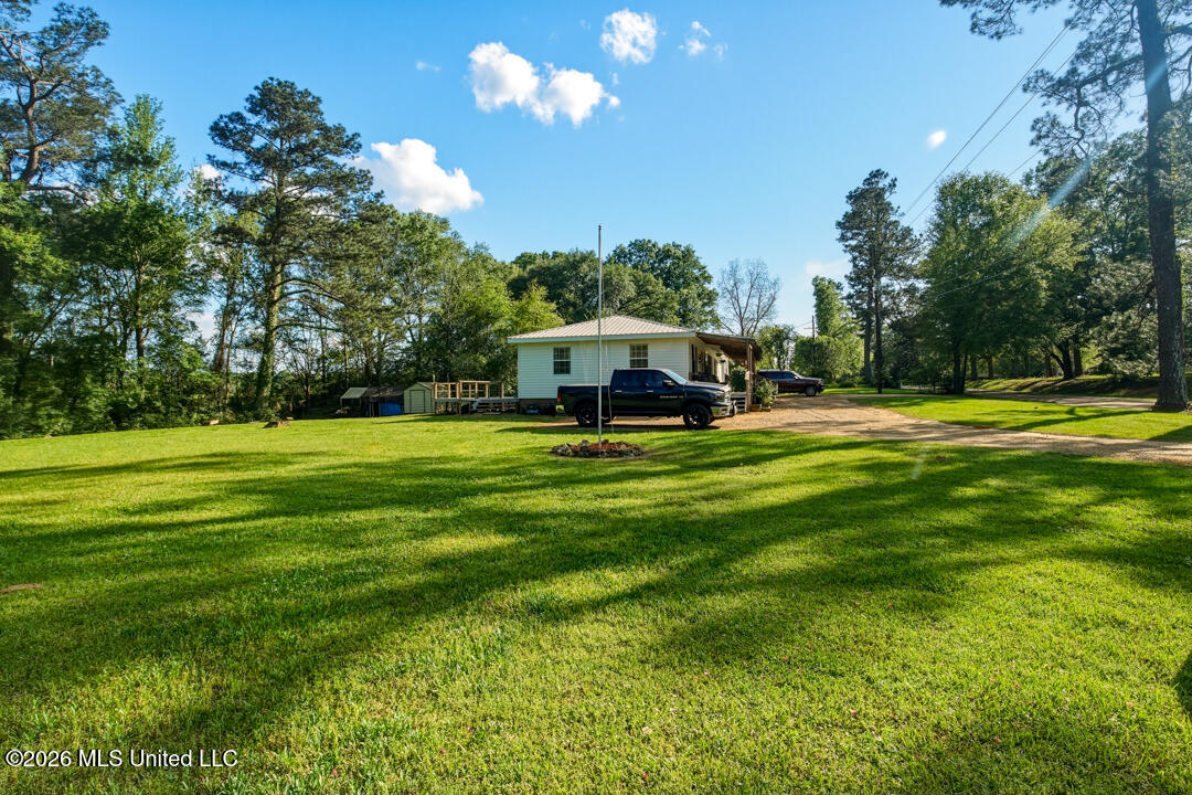 285 Magnolia Drive Raleigh, MS 39153 - Photo 5 of 34 Front Yard View