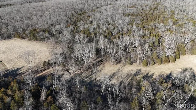 $140,280 | 2 Lot Hematite Farms Road, Festus, MO 63028