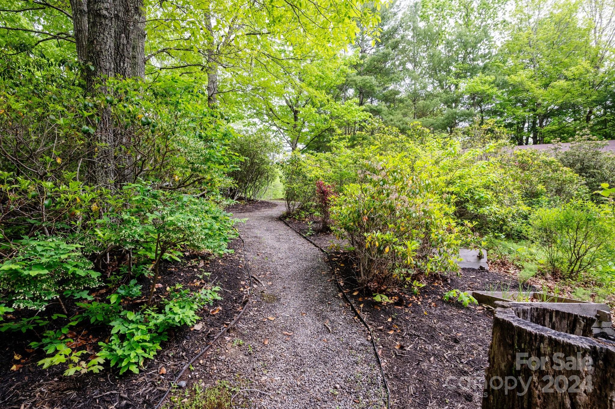737 Rolling Ridge Loop Burnsville, NC 28714 - Photo 11 of 43 Gallery Image 11