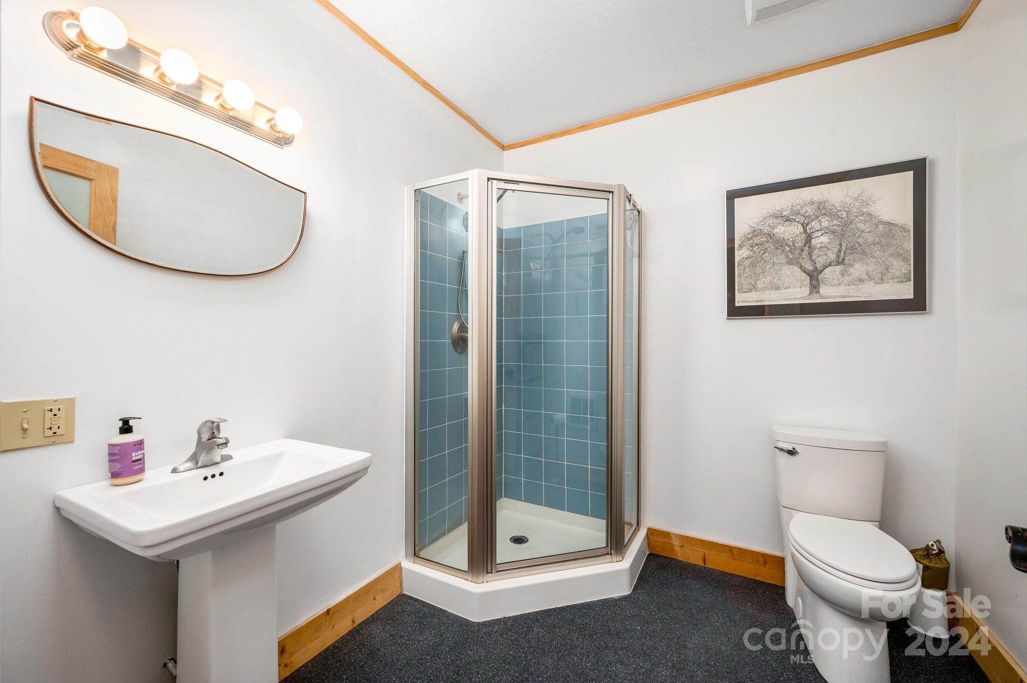 737 Rolling Ridge Loop Burnsville, NC 28714 - Photo 41 of 43 Gallery Image 41