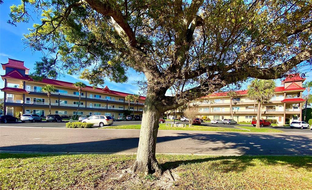 2402 Ecuadorian Way, Unit 18 Clearwater, FL 33763 - Photo 2 of 55