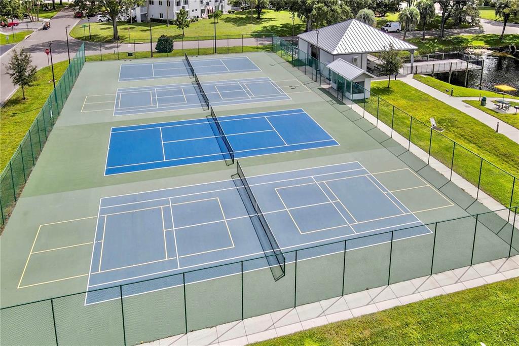 2402 Ecuadorian Way, Unit 18 Clearwater, FL 33763 - Photo 54 of 54 a view of a backyard with swimming pool