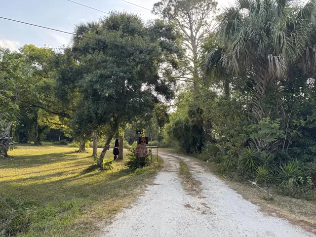 a view of a park with large trees