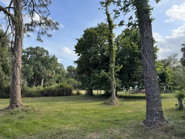 a view of outdoor space with deck and trees