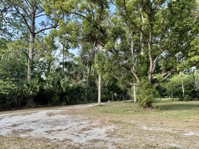 a view of a yard with plants and trees