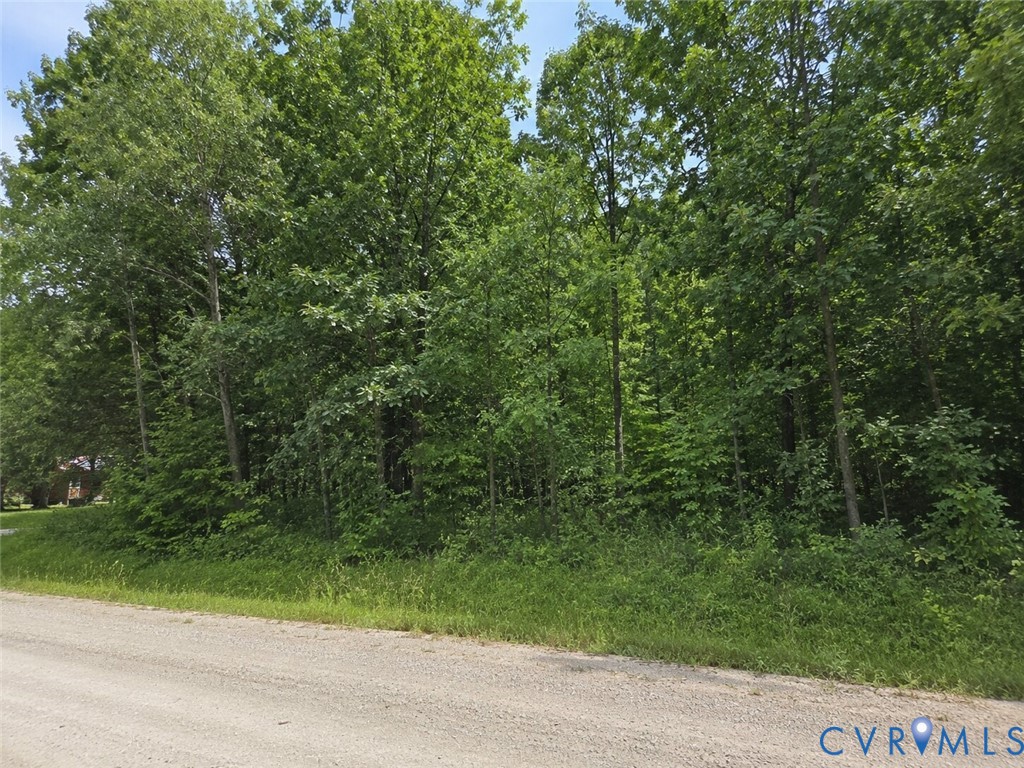0 Dillard Road Lawrenceville, VA 23868 - Photo 2 of 6