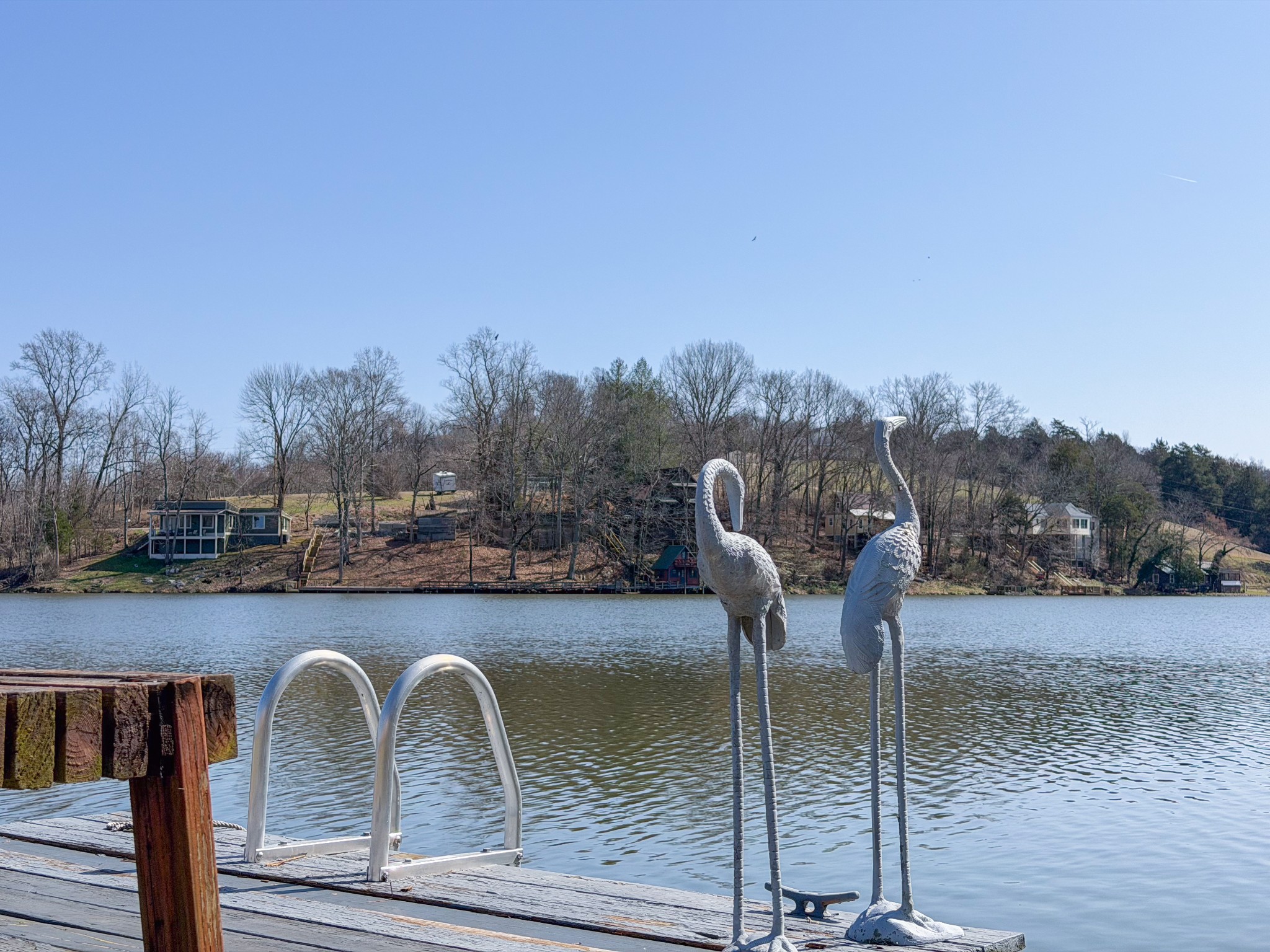 2701 Clear Creek Road Pulaski, TN 38478 - Photo 32 of 42 a view of a swimming pool with a lounge chair