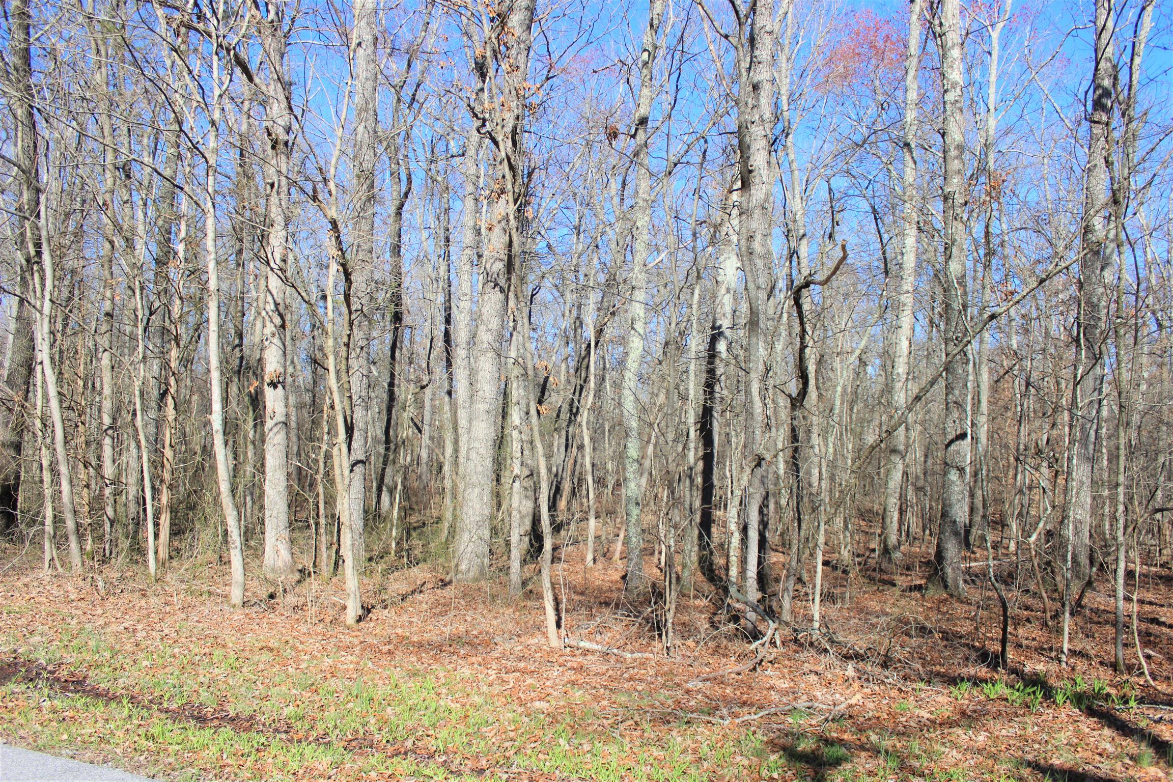 12 Bains Road Hillsboro, TN 37342 - Photo 4 of 5 Gallery Image 4