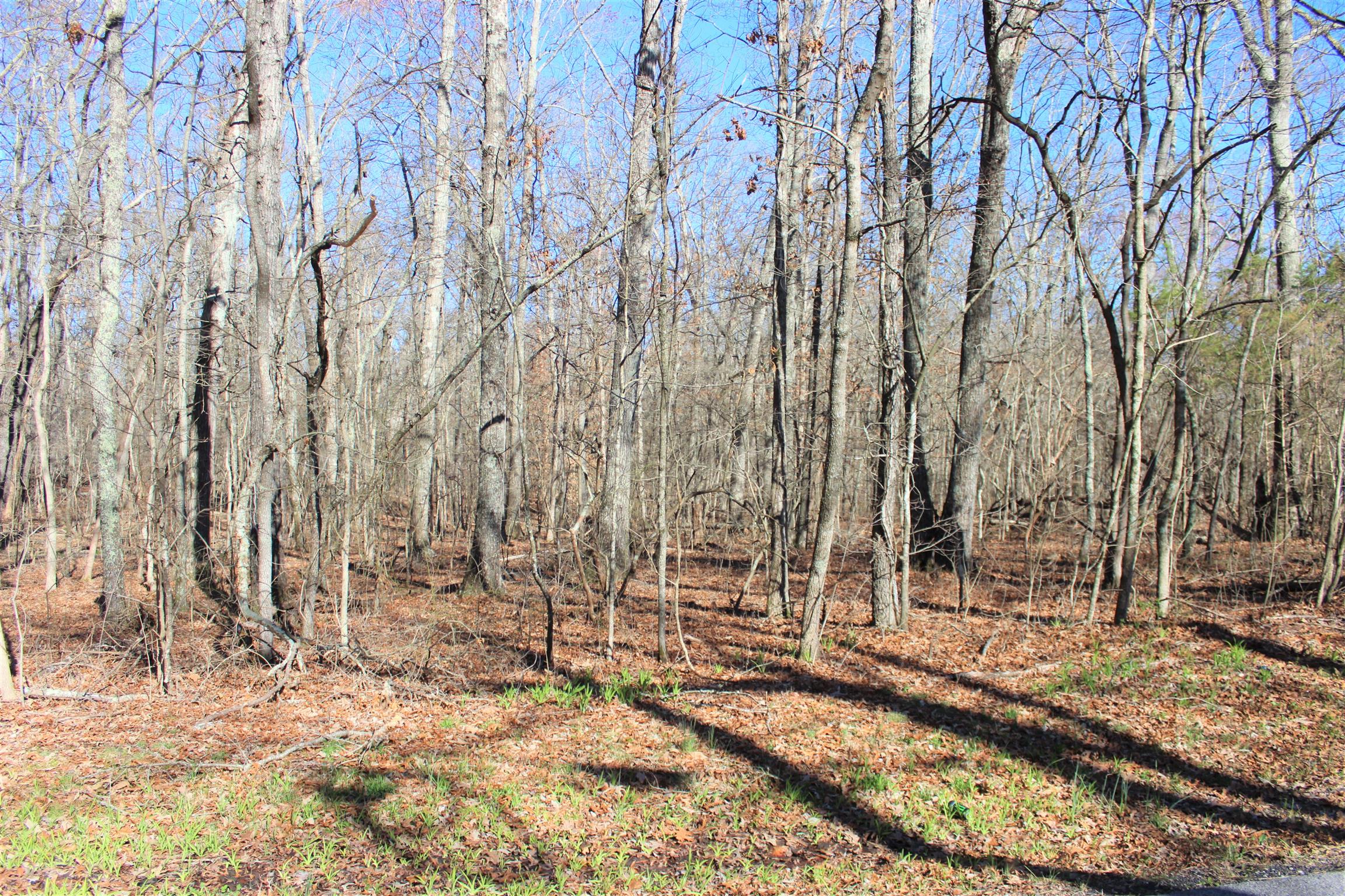 12 Bains Road Hillsboro, TN 37342 - Photo 5 of 5 Gallery Image 5