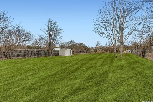a view of a backyard with large trees