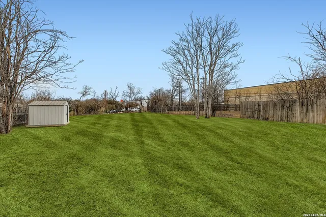 a view of yard with tree and green space