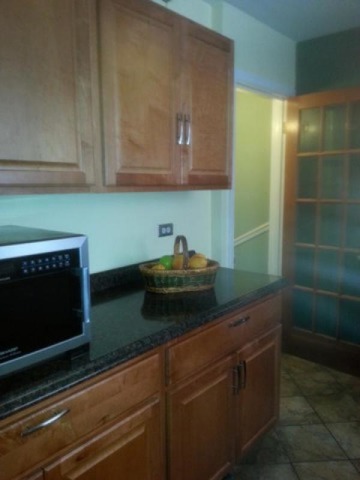 5221 North Rutherford Avenue Chicago, IL 60656 - Photo 5 of 13