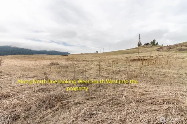 a view of a lake with a mountain